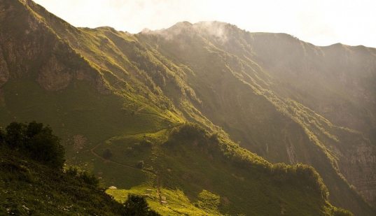 В Сочи открылся экомаршрут «Альпийские луга»