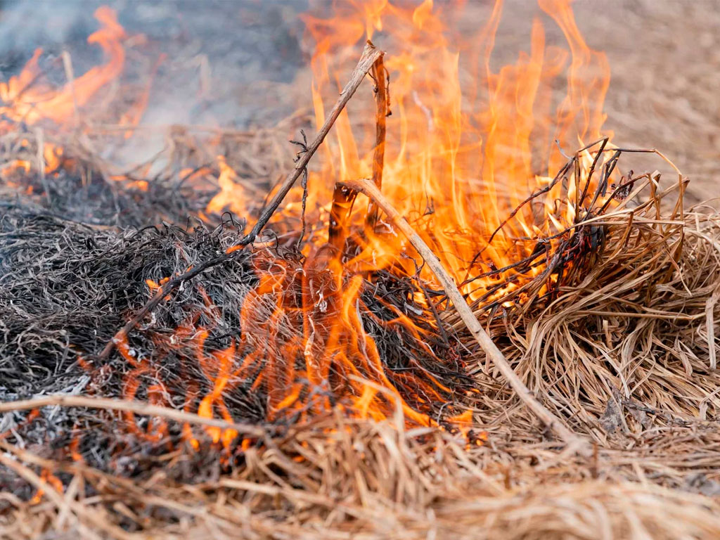 В Сочи объявлено предупреждение о высокой пожароопасности