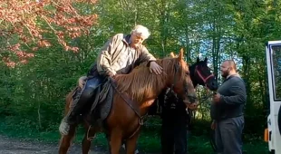 Бродил по лесу два дня: в Сочи обнаружили заблудившегося пенсионера
