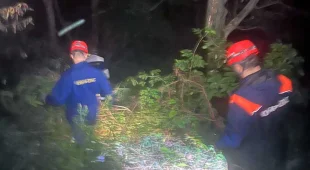 В Сочи спасли двух туристов из Тулы