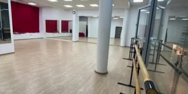 Школа современной хореографии Ника на улице Тимирязева фотография 8