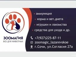 Ветеринарный кабинет Зоомагия фотография 2